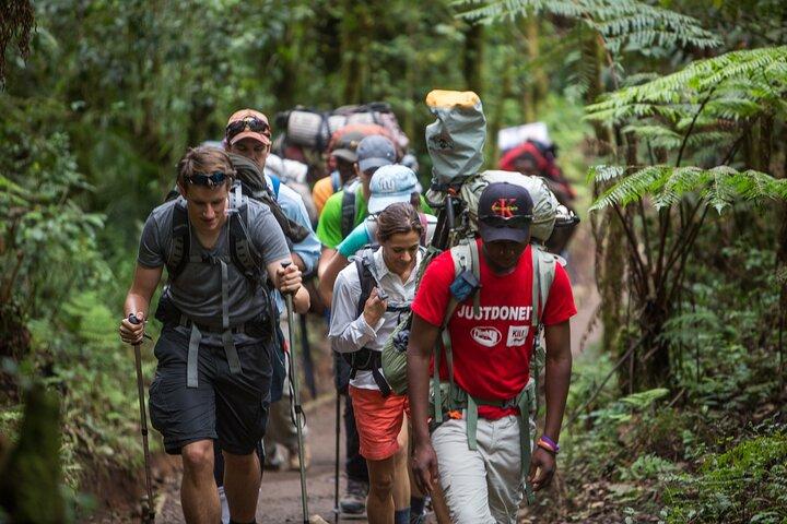 8-Day Small-group Lemosho Kilimanjaro Summit Trekking