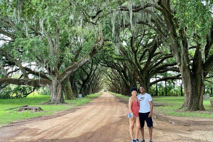 Airboat and Plantations Tour with Gourmet Lunch from New Orleans