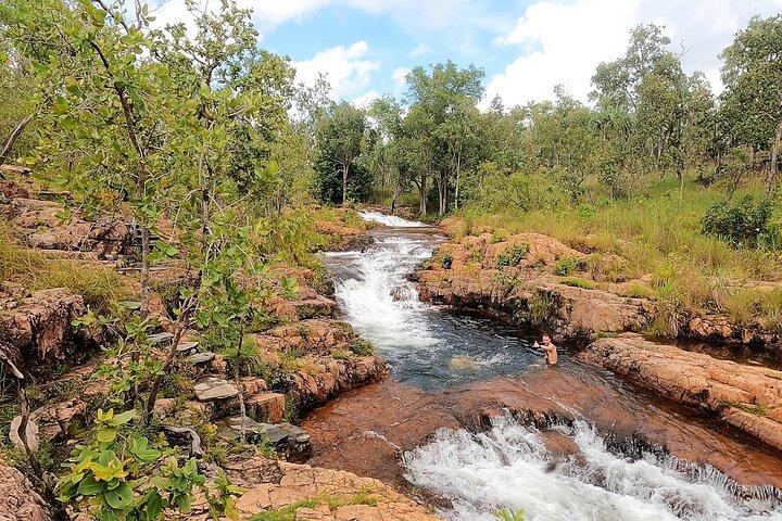 ETHICAL ADVENTURES - 1 Day premium Litchfield tour, small group