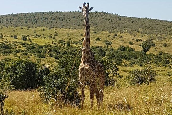 3 Days, 2 Nights Masai Mara Road Package