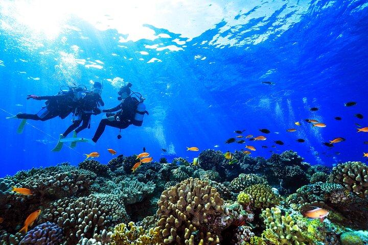 Naha: Full-Day Introductory diving & Snorkeling in the Kerama Islands, Okinawa