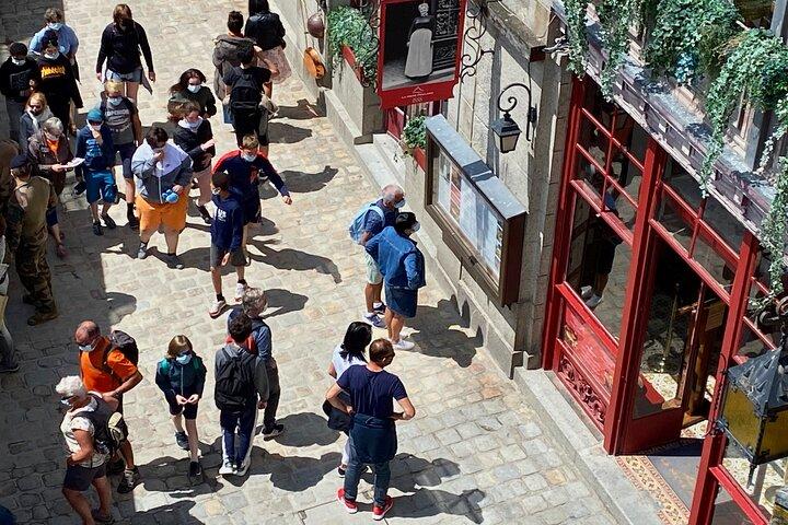 Private Mont Saint-Michel Trip by Mercedes from Paris with Lunch