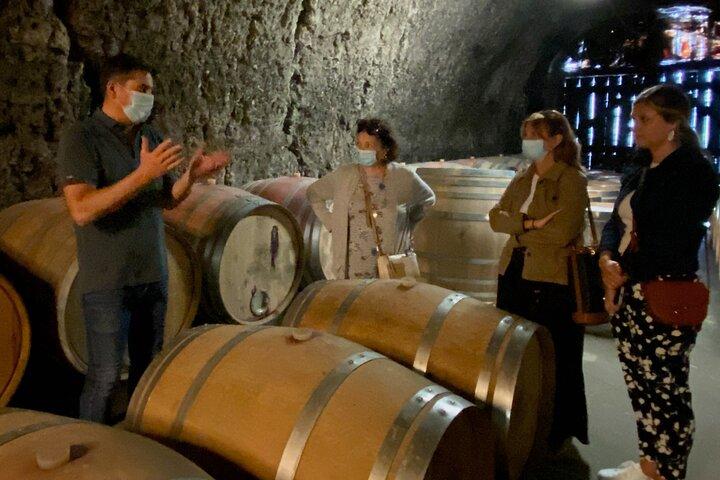Loire Castles Chenonceau, Chambord & 2 Wineries Private Trip