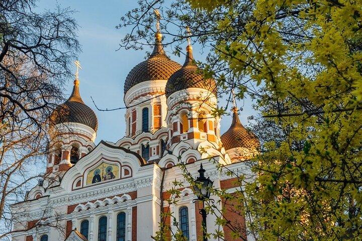 Tallinn Old Town Walking Tour & Free time (Depart from Tallinn Port)