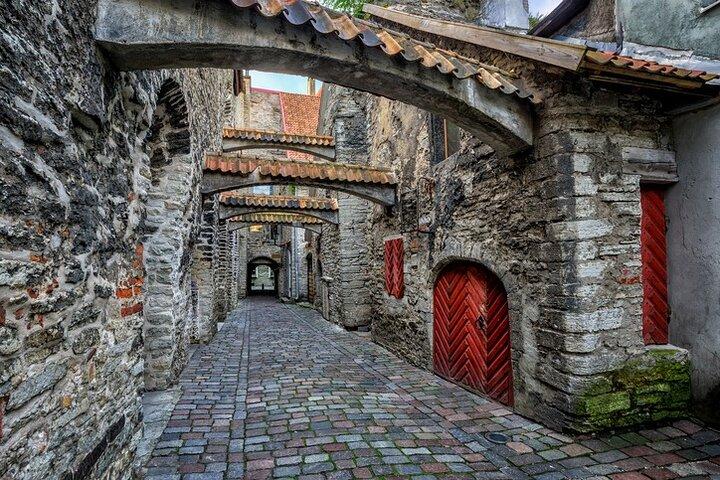 Tallinn Old Town Walking Tour & Free time (Depart from Tallinn Port)