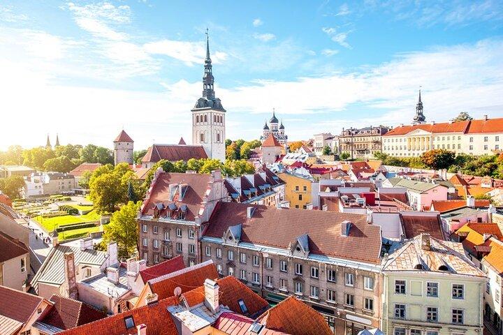 Tallinn Old Town Walking Tour & Free time (Depart from Tallinn Port)