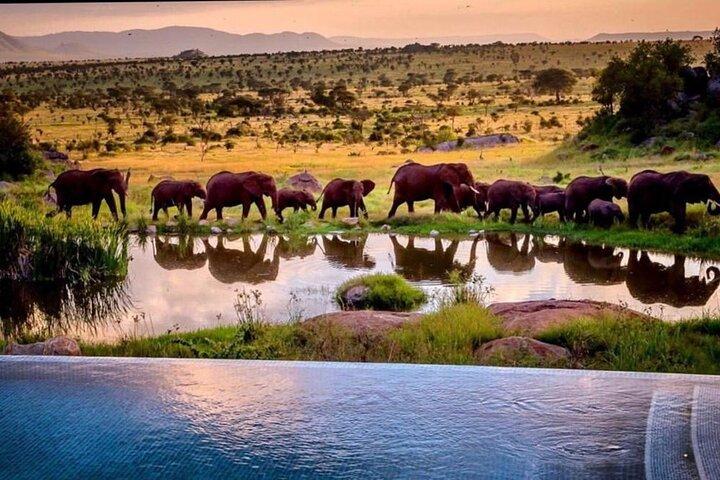 8-Day Tanzania Private Safari Tour with Airport Pickup