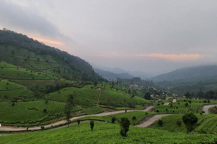 4 Nights Private Deluxe Tour Cochin/Munnar/Thekkady/Houseboat