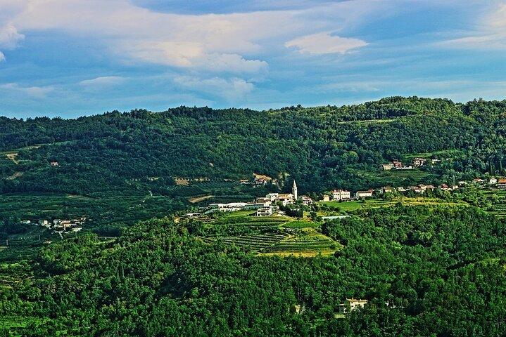 Private Full day Tour from Rijeka or Opatija to Best of Istria