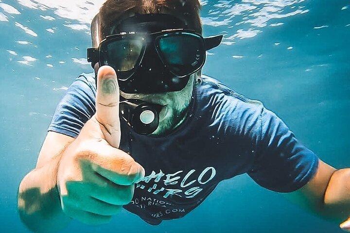 Pacheco Tours - Snorkeling Tour in Caño Island from Drake Bay