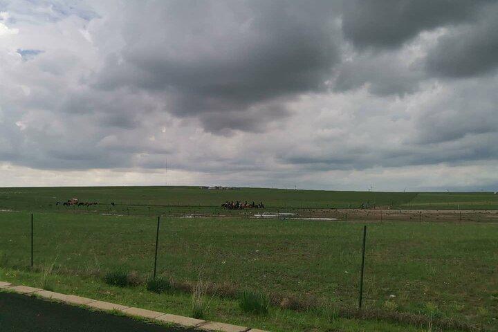 Full-Day Private Tour in Xilamuren Grassland with Lunch
