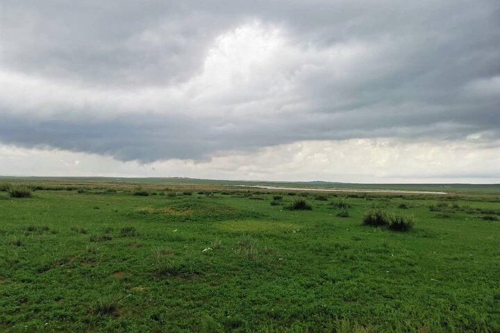 Full-Day Private Tour in Xilamuren Grassland with Lunch