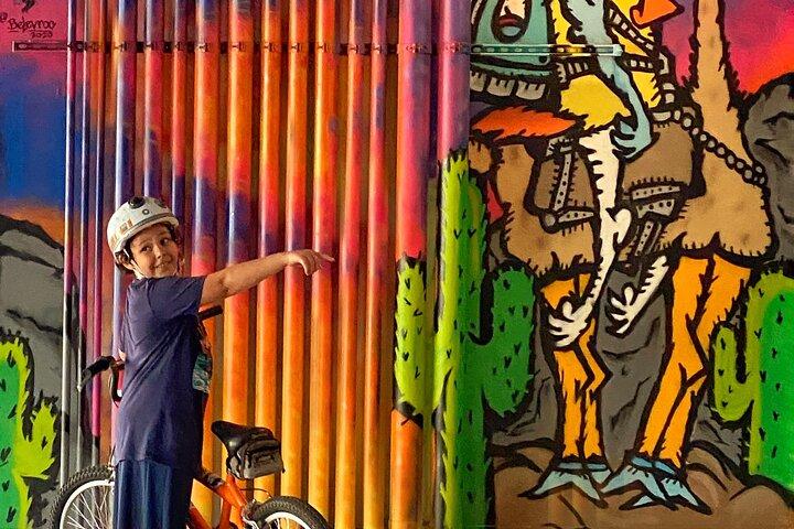 Viator Exclusive: Street Art of Portland 2-Hour Bike Tour