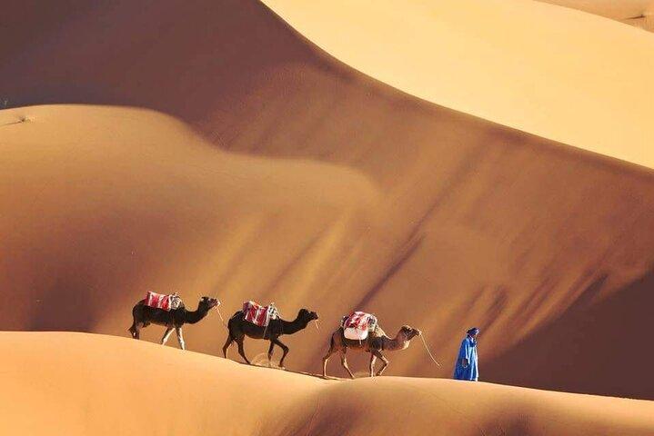 4 Day Sahara Desert Trip From Marrakech: Marrakesh - Sahara Desert - Marrakesh