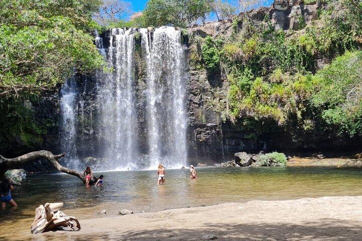 Explore Rainforets Sloth Discover Spectacular Waterfall