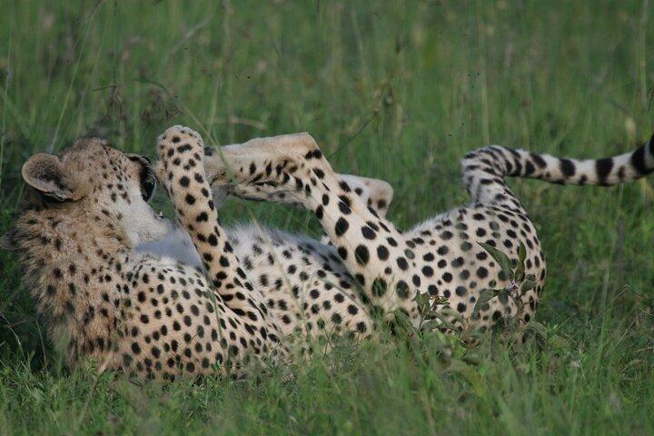 6-Day Group Joining Safari- Nairobi, Nakuru, Naivasha & Amboseli