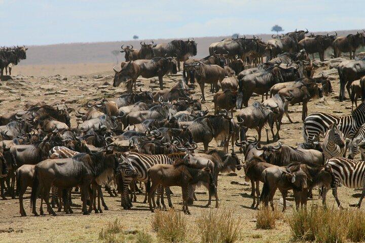 6-Day Group Joining Safari- Nairobi, Nakuru, Naivasha & Amboseli