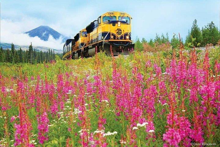 Alaska Railroad Fairbanks to Denali One Way