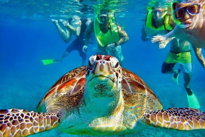 Private Tulum Mayan Ruins & Swimming with Turtles Experience