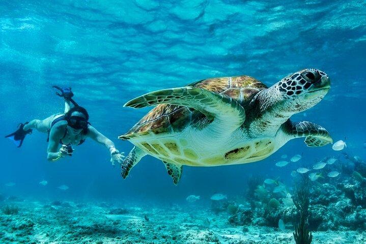 Tulum Mayan Ruins and Snorkeling with Turtles at Akumal