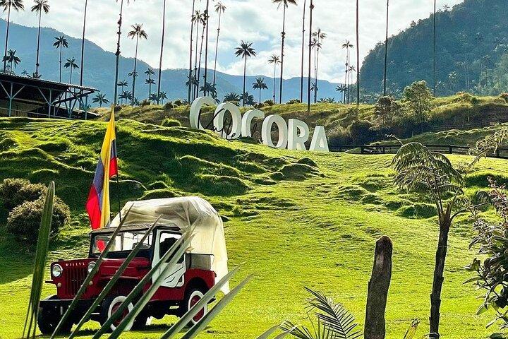 Cocora Valley Tour and Santa Rita Waterfall