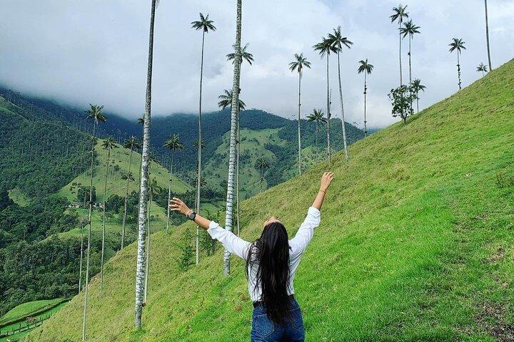 Cocora Valley Tour and Santa Rita Waterfall
