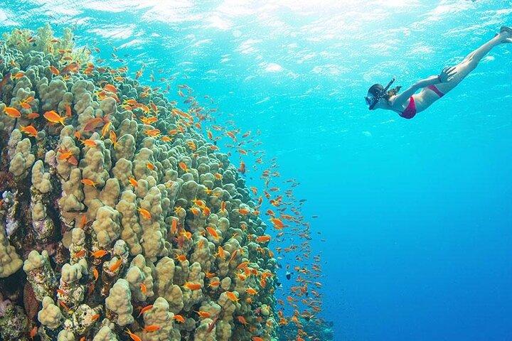 Nakupenda Island Snorkeling with Lunch