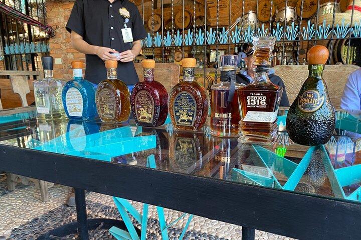 full day Tequila tour visiting artisanal distillery and downtown.