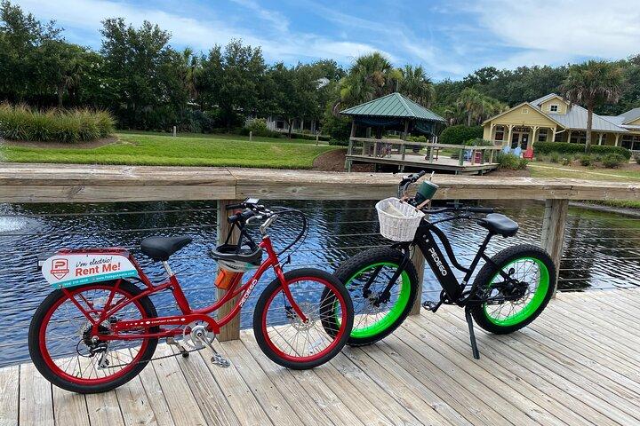 Electric Bike Tour Amelia Island & Big Talbot Island