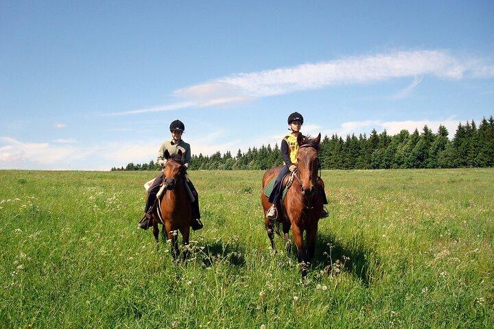 Horseback Riding Tour in Bohemian Switzerland