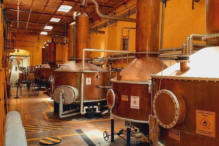 full day Tequila tour visiting artisanal distillery and downtown.