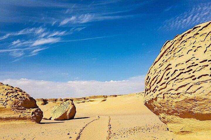 Cairo: Private Day Tour to El Fayoum Oasis
