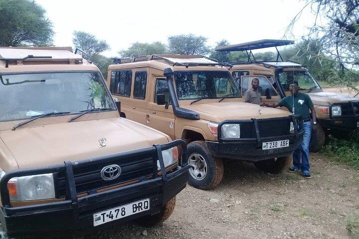 7 Days Tanzania Mid-range lodge safari