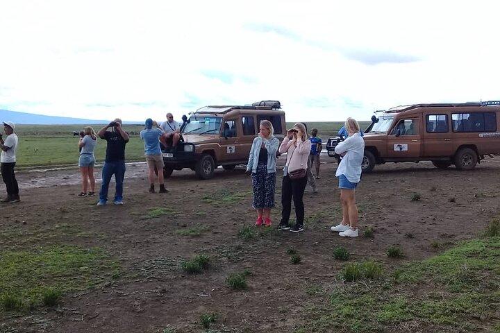 7 Days Tanzania Mid-range lodge safari
