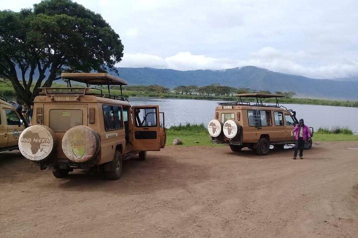 7 Days Tanzania Mid-range lodge safari