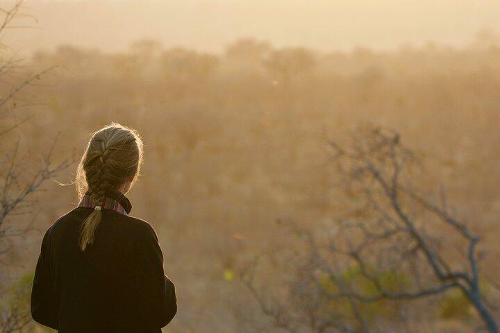 Kruger National Park Guided Day Tour including Hotel Pick-Up and Drop-Off