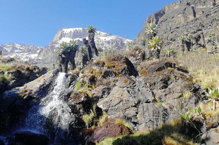 Day Trip to Kilimanjaro National Park
