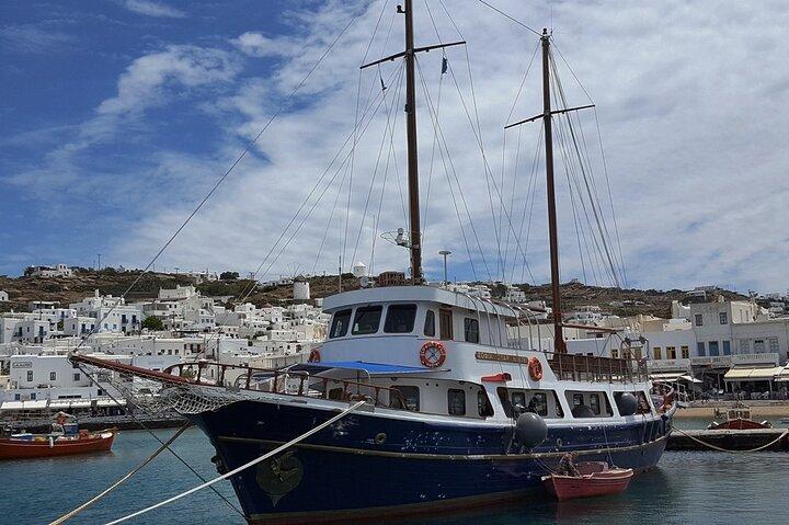 Shared Cruise from Mykonos to Ancient Delos & Rhenia island