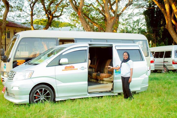 Private Transfer from Zanzibar Airport to Bwejuu