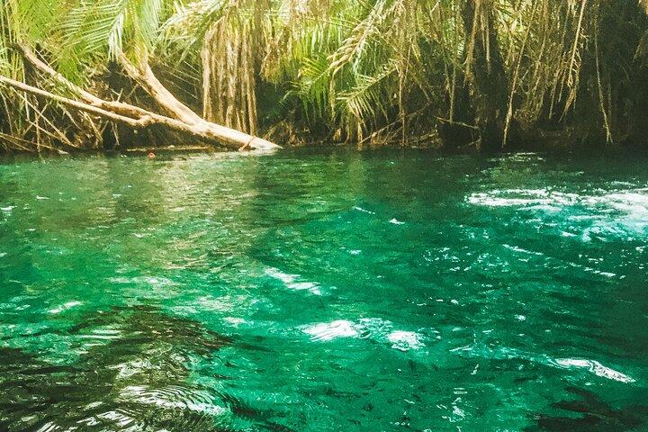 Private Full-Day Materuni Waterfalls and Kikuletwa Hotspring