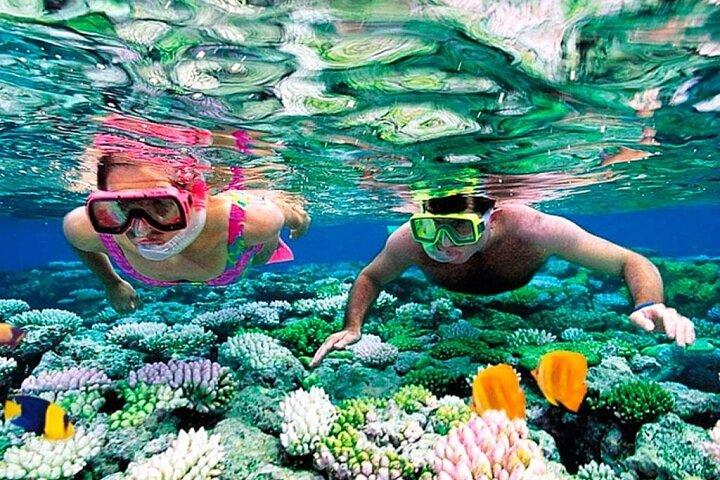Top Attractions In Sharm El Sheikh In Full Day Tour From Cairo