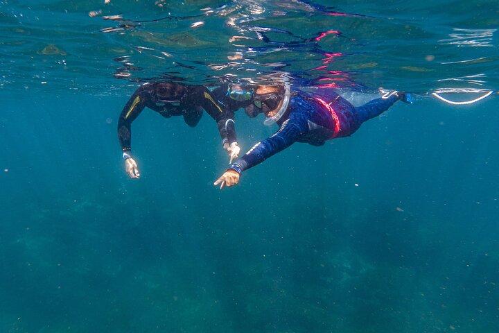 Private Guided Snorkeling in Cabo San Lucas