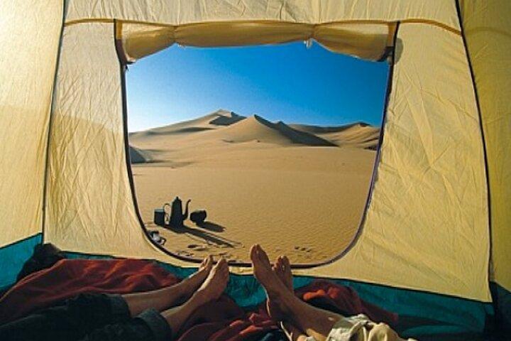 Overnight Desert Safari with BBQ Dinner and Breakfast