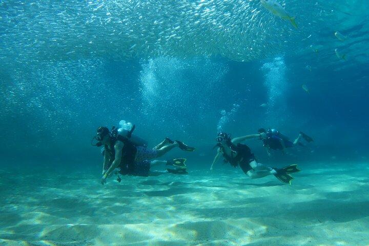 Private Dive Boat for Certified Divers - Cabo San Lucas