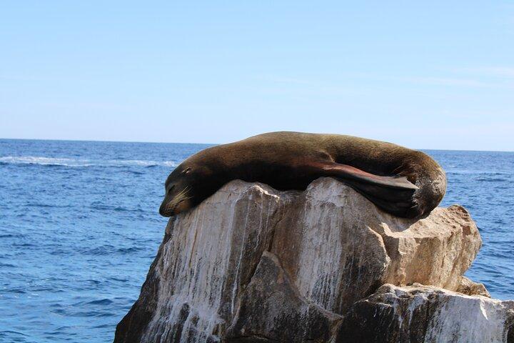Shared Tour to the Arch of Cabo San Lucas