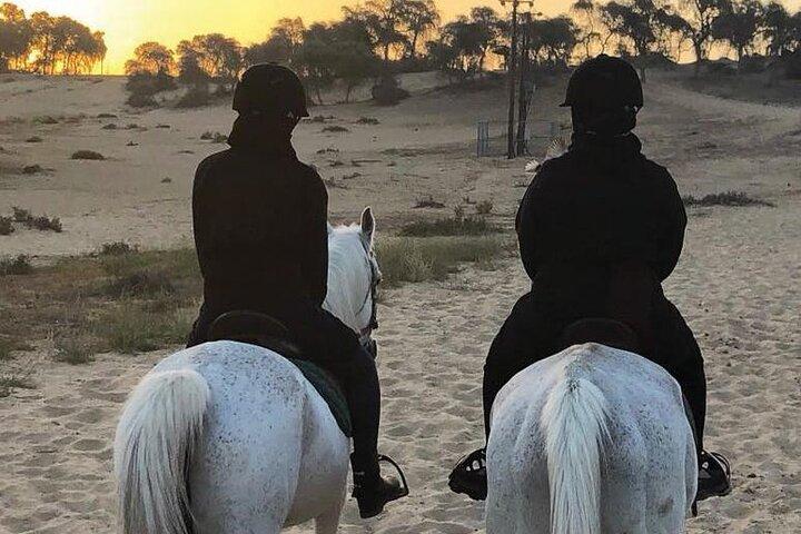 Full Moon Horse Riding in Dubai