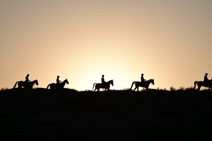 Full Moon Horse Riding in Dubai
