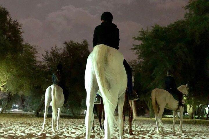 Full Moon Horse Riding in Dubai