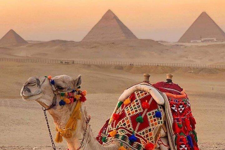 Camel Ride or Horse around the Pyramids