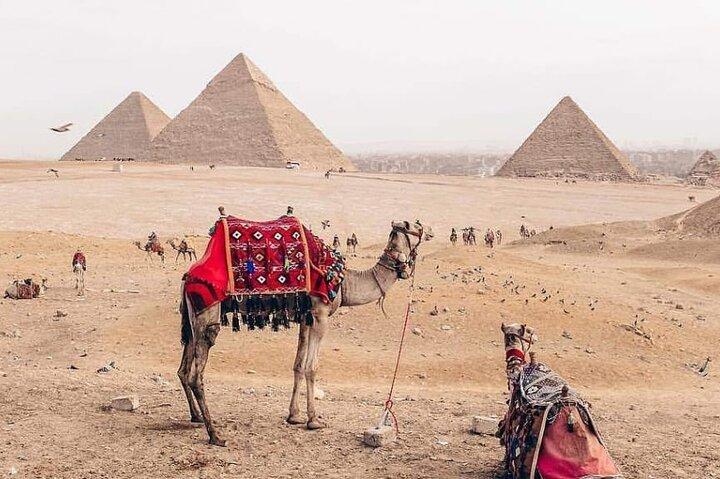 Camel Ride or Horse around the Pyramids